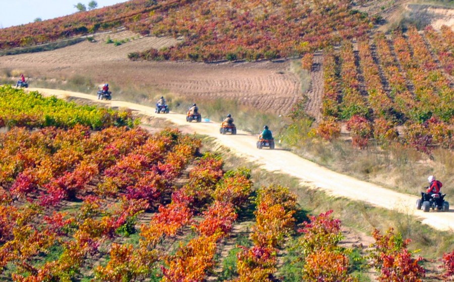 Quad routes between vineyards