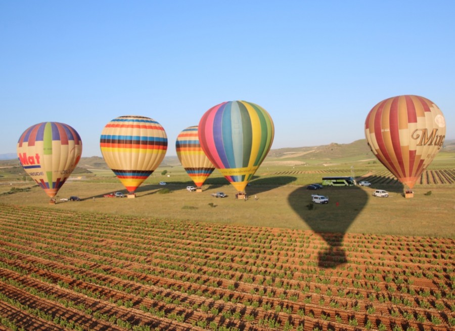 Fly in a balloon over the vineyards