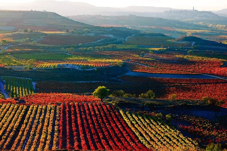 Hotel Viura - Hotel Boutique en Rioja